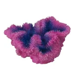 <strong title="Laroy Group Decor Coral Symphylia Violet 12x5x12 cm 234/431351 – decor coral pentru acvariu mic, decor acvariu pentru habitat natural, decor pentru acvariu, decor acvariu cu aspect natural">Laroy Group Decor Coral Symphylia Violet 12x5x12 cm 234/431351 – decor coral pentru acvariu mic,...</strong>