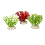 <strong title="Laroy Group Planta Artificiala Hottonia S 10 cm Diferite Culori 242/457955 – plante teraristice artificiale, plante acvariu de decor, accesorii acvariu, plante pentru acvariu mici">Laroy Group Planta Artificiala Hottonia S 10 cm Diferite Culori 242/457955 – plante teraristice...</strong>