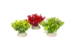 <strong title="Laroy Group Planta Artificiala Glosso S 9 cm Diferite Culori 242/458082 – glosso 9 cm, plante artificiale terariu, accesorii acvariu, glosso diferite culori">Laroy Group Planta Artificiala Glosso S 9 cm Diferite Culori 242/458082 – glosso 9 cm, plante...</strong>