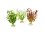 <strong title="Laroy Group Planta Artificiala Bacopa M 25 cm Diferite Culori 242/458167 – planta artificiala pentru acvariu, bacopa 25 cm, accesorii acvariu, plante artificiale pentru acvarii">Laroy Group Planta Artificiala Bacopa M 25 cm Diferite Culori 242/458167 – planta artificiala...</strong>