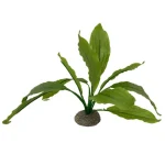 <strong title="Laroy Group Planta Artificiala Echinodorus 2 Verde 24 cm 242/468258 – plante terariu artificiale, plante acvariu pentru pesti, accesorii acvariu, plante artificiale de calitate">Laroy Group Planta Artificiala Echinodorus 2 Verde 24 cm 242/468258 – plante terariu artificiale,...</strong>