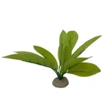 <strong title="Laroy Group Planta Artificiala Echinodorus 3 Verde 24 cm 242/46826 – plante rezistente pentru acvariu, Echinodorus verde, accesorii acvariu, Echinodorus 24 cm">Laroy Group Planta Artificiala Echinodorus 3 Verde 24 cm 242/46826 – plante rezistente pentru...</strong>