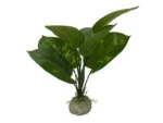 <strong title="Laroy Group Planta Artificiala Anubias 1 Verde 24 cm 242/468272 – Anubias verde 24 cm, Anubias pentru acvariu, accesorii acvariu, plante de decor pentru terariu">Laroy Group Planta Artificiala Anubias 1 Verde 24 cm 242/468272 – Anubias verde 24 cm, Anubias...</strong>