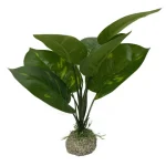<strong title="Laroy Group Planta Artificiala Anubias 1 Verde 24 cm 242/468272 – Anubias verde 24 cm, Anubias pentru acvariu, accesorii acvariu, plante de decor pentru terariu">Laroy Group Planta Artificiala Anubias 1 Verde 24 cm 242/468272 – Anubias verde 24 cm, Anubias...</strong>