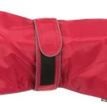 <strong title="Trixie Hainuta Orleans, XS: 25 cm, Rosu, 680310 – hainute caini cu gluga, hainute caini de companie, hainuta pentru caini, hainute confortabile pentru caini">Trixie Hainuta Orleans, XS: 25 cm, Rosu, 680310 – hainute caini cu gluga, hainute caini de...</strong>