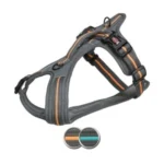 <strong title="Trixie Ham Fusion Touring, S-M: 45-54 cm/20 mm, Gri Grafit/Portocaliu Papaya, 207530 – hamuri pentru plimbari, Ham Fusion Touring, accesorii pentru câini, hamuri Gri Grafit">Trixie Ham Fusion Touring, S-M: 45-54 cm/20 mm, Gri Grafit/Portocaliu Papaya, 207530 – hamuri...</strong>