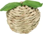 <strong title="Trixie Jucarie Pentru Rozatoare, Mar De Iarba Cu Panusi De Porumb, 7 cm, 61823 – jucării din plante pentru rozătoare, jucărie măr din porumb, produse pentru animale de companie, jucărie pentru animale mici">Trixie Jucarie Pentru Rozatoare, Mar De Iarba Cu Panusi De Porumb, 7 cm, 61823 – jucării din...</strong>
