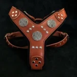 <strong title="Bestia Ham Maximus, Piele Naturala, L/XL, Maro/Argintiu – ham maro pentru caini, ham argintiu pentru caini, accesorii pentru câini, hamuri pentru caini cu design elegant">Bestia Ham Maximus, Piele Naturala, L/XL, Maro/Argintiu – ham maro pentru caini, ham argintiu...</strong>