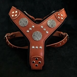 <strong title="Bestia Ham Maximus, Piele Naturala, L/XL, Maro/Argintiu – ham maro pentru caini, ham argintiu pentru caini, accesorii pentru câini, hamuri pentru caini cu design elegant">Bestia Ham Maximus, Piele Naturala, L/XL, Maro/Argintiu – ham maro pentru caini, ham argintiu...</strong>