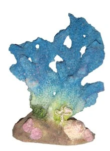 <strong title="Happet Decor Acvariu coral, 10cm, 407B – accesorii acvariu coral, decor acvariu 10cm, decor acvariu pentru posesori de animale, decor acvariu coral colorat">Happet Decor Acvariu coral, 10cm, 407B – accesorii acvariu coral, decor acvariu 10cm, decor...</strong>