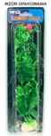 <strong title="Happet Planta Artificiala Pentru Acvariu, Blister, 10 cm, Rosu/Galben, 1B02 – beneficii plante artificiale acvariu, plante artificiale pentru acvariu cu pesti, accesorii acvariu, cum sa alegi plante pentru acvariu">Happet Planta Artificiala Pentru Acvariu, Blister, 10 cm, Rosu/Galben, 1B02 – beneficii plante...</strong>