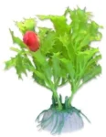 <strong title="Happet Planta Artificiala Pentru Acvariu, Blister, 10 cm, Verde, 1B11 – blister planta acvariu, plante acvariu care nu necesita intretinere, accesorii acvariu, plante artificiale pentru acvariu 1B11">Happet Planta Artificiala Pentru Acvariu, Blister, 10 cm, Verde, 1B11 – blister planta acvariu,...</strong>