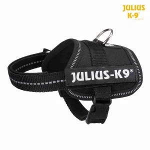 <strong title="Julius K-9 Ham Julius-K9, XS 30-40 cm/18 mm, Negru, 150701 – Ham Julius-K9 Negru, ham XS pentru câini, accesorii câini., ham 18 mm">Julius K-9 Ham Julius-K9, XS 30-40 cm/18 mm, Negru, 150701 – Ham Julius-K9 Negru, ham XS pentru...</strong>
