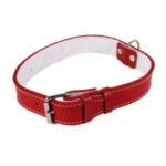 <strong title="Exotic-K Zgarda Piele Tip 50 (75 cm/50 mm) cu Pasla, Rosu – zgarda piele ajustabilă, zgarda piele elegantă, zgarda pentru câini, zgarda piele rezistenta">Exotic-K Zgarda Piele Tip 50 (75 cm/50 mm) cu Pasla, Rosu – zgarda piele ajustabilă, zgarda piele...</strong>