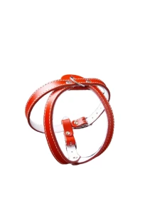 <strong title="Exotic-K Ham L1 Piele Captusit 32-40 cm/16 mm – Rosu – hamuri cu captușeală, ham L1 Piele Captusit, accesorii pentru câini, hamuri captusite">Exotic-K Ham L1 Piele Captusit 32-40 cm/16 mm – Rosu – hamuri cu captușeală, ham L1 Piele...</strong>