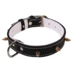 <strong title="Exotic-K Zgarda Piele cu Colti Tip 22 mm/50 cm, Negru – zgarda caini fashion, zgarda 50 cm, zgarda pentru câini, zgarda piele personalizata">Exotic-K Zgarda Piele cu Colti Tip 22 mm/50 cm, Negru – zgarda caini fashion, zgarda 50 cm,...</strong>