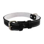 <strong title="Exotic-K Zgarda Piele Tip 30 (65 cm/30 mm) cu Pasla, Negru – zgarda 65 cm, zgarda piele pentru câini de rasă, zgarda pentru câini, zgarda piele pentru câini mici">Exotic-K Zgarda Piele Tip 30 (65 cm/30 mm) cu Pasla, Negru – zgarda 65 cm, zgarda piele pentru...</strong>