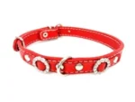 <strong title="Exotic-K Zgarda Piele Naturala cu Strasuri, Diverse Culori, 15 mm x 37 cm – zgarda piele 15 mm, zgarda piele 37 cm, accesorii pentru animale, zgarda cu strasuri diverse culori">Exotic-K Zgarda Piele Naturala cu Strasuri, Diverse Culori, 15 mm x 37 cm – zgarda piele 15 mm,...</strong>