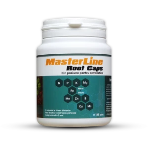 <strong title="MasterLine MasterLine Root Caps (125 buc) – fertilizant pentru rădăcini plante, îmbunătățire creștere plante acvariu, produse pentru acvariu, MasterLine 125 buc">MasterLine MasterLine Root Caps (125 buc) – fertilizant pentru rădăcini plante, îmbunătățire...</strong>