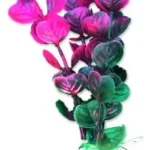 <strong title="Happet Planta Artificiala Pentru Acvariu, Blister, 10 cm, Roz/Violet/Verde, 1B30 – plante artificiale roz, plante acvariu cu blister, accesorii acvariu, plante acvariu pentru acvarii mici">Happet Planta Artificiala Pentru Acvariu, Blister, 10 cm, Roz/Violet/Verde, 1B30 – plante...</strong>