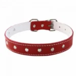 <strong title="Exotic-K Zgarda L6 4.0/74 cm – Ornament – Rosu – zgarda ornamentala pentru caini, zgarda decorativa caini, zgarda pentru animale de companie, zgarda L6 pentru caini">Exotic-K Zgarda L6 4.0/74 cm – Ornament – Rosu – zgarda ornamentala pentru caini,...</strong>
