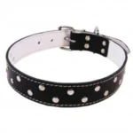 <strong title="Exotic-K Zgarda L5 4.0/63 cm – Ornament – Negru – zgarda caini stilata, zgarda reglabilă pentru câini, zgarda pentru câini, zgarda caini online">Exotic-K Zgarda L5 4.0/63 cm – Ornament – Negru – zgarda caini stilata, zgarda...</strong>