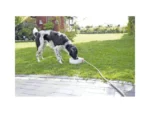 <strong title="TRIXIE Adapator Automat De Exterior, Plastic,1.5 l/24x10x23 cm, Alb, 24395 – hrană câini plastic, adaptor de exterior pentru animale, Adaptor automat de exterior pentru câini, produse pentru câini">TRIXIE Adapator Automat De Exterior, Plastic,1.5 l/24x10x23 cm, Alb, 24395 – hrană câini plastic,...</strong>