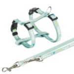 Ham Si Lesa, Pentru Caini Juniori, S-M: 23-34 cm/8 mm, 2.00 m, Verde Menta, 15345