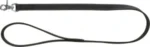 <strong title="Trixie Lesa din Piele, M-L: 1 m/20 mm, Negru, 18980 – lesa piele neagra, lesa piele calitate, lesa pentru animale, lesa de piele pentru pisici">Trixie Lesa din Piele, M-L: 1 m/20 mm, Negru, 18980 – lesa piele neagra, lesa piele calitate,...</strong>