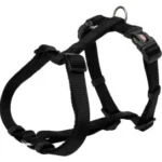 <strong title="Trixie Ham Premium H, XXS-XS: 20-32 cm/10 mm, Negru 204801 – accesorii pentru câini mici, ham de antrenament pentru câini, ham pentru animale, ham XXS-XS">Trixie Ham Premium H, XXS-XS: 20-32 cm/10 mm, Negru 204801 – accesorii pentru câini mici, ham de...</strong>