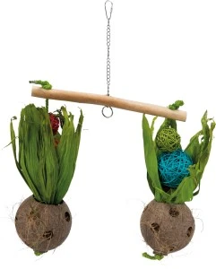<strong title="Trixie Jucarie Pentru Pasari, Balansoar Cu Nuca De Cocos, 30×50 cm, 58921 – jucarii de distractie pentru pasari, jucarie 30x50 cm pentru pasari, accesorii pentru pasari, balansoar pentru papagali">Trixie Jucarie Pentru Pasari, Balansoar Cu Nuca De Cocos, 30×50 cm, 58921 – jucarii de...</strong>