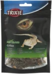 <strong title="Trixie Greieri Uscati, 25 g, 76392 – greieri uscati online, greieri uscati pentru animale de companie, hrană pentru reptile, greieri uscati pentru hranirea reptilelor">Trixie Greieri Uscati, 25 g, 76392 – greieri uscati online, greieri uscati pentru animale de...</strong>