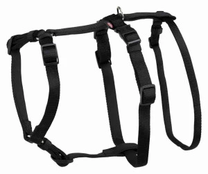 <strong title="Trixie Ham-Sistem de Prindere In 3 Puncte, L-XL: 75-100 cm/20 cm, 13094 – ham pentru caini 75-100 cm, ham caini ajustabil, accesorii pentru câini, ham cu prindere in 3 puncte">Trixie Ham-Sistem de Prindere In 3 Puncte, L-XL: 75-100 cm/20 cm, 13094 – ham pentru caini 75-100...</strong>