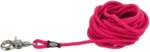 <strong title="Trixie Lesa Tracking Rotund, S-L: 5 m/6 mm, Fucsia, 19794 – lesa pentru aventuri cu caini, Lesa caini, lesa pentru animale, lesa fucsia pentru caini">Trixie Lesa Tracking Rotund, S-L: 5 m/6 mm, Fucsia, 19794 – lesa pentru aventuri cu caini, Lesa...</strong>