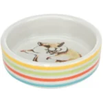 <strong title="Trixie Castron Ceramic Comic-Hamster, 80 ml/8 cm, Multicolor/Crem, 60801 – vase pentru animale de companie, bol pentru hrană hamster, accesorii pentru rozatoare, produse pentru hamster">Trixie Castron Ceramic Comic-Hamster, 80 ml/8 cm, Multicolor/Crem, 60801 – vase pentru animale de...</strong>