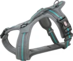 <strong title="Trixie Ham Fusion Touring, M: 51-66 cm/20 mm, Gri Grafit/Albastru Ocean, 207536 – hamuri caini gri grafit, hamuri caini albastru ocean, accesorii pentru câini, hamuri pentru caini cu dimensiuni M">Trixie Ham Fusion Touring, M: 51-66 cm/20 mm, Gri Grafit/Albastru Ocean, 207536 – hamuri caini...</strong>