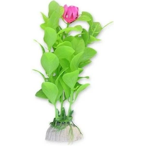 <strong title="Happet Planta Artificiala Pentru Acvariu, 10 cm, Verde Cu Roz, 1B29 – planta acvariu rezistenta, cum sa alegi plante artificiale pentru acvariu, accesorii acvariu pentru pesti, beneficii plante artificiale acvariu">Happet Planta Artificiala Pentru Acvariu, 10 cm, Verde Cu Roz, 1B29 – planta acvariu rezistenta,...</strong>