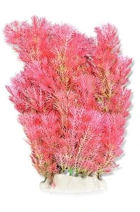 <strong title="Happet Planta Artificiala Pentru Acvariu, 20 cm, Roz/Verde, 2F16 – plante acvariu pentru pești tropicali, plante acvariu roz, accesorii acvariu, plante acvariu verde">Happet Planta Artificiala Pentru Acvariu, 20 cm, Roz/Verde, 2F16 – plante acvariu pentru pești...</strong>