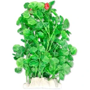 <strong title="Happet Planta Artificiala Pentru Acvariu, 20 cm, Verde, 2F21 – plante acvariu pentru pești tropicali, planta acvariu 20 cm, decor natural acvariu, plante artificiale pentru acvariu 20 cm">Happet Planta Artificiala Pentru Acvariu, 20 cm, Verde, 2F21 – plante acvariu pentru pești...</strong>