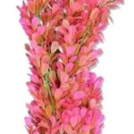 <strong title="Happet Planta Artificiala Pentru Acvariu, 40 cm, Verde/Roz, 4F28 – planta acvariu 40 cm, plante roz pentru acvariu, accesorii acvariu, plante artificiale pentru acvariu roz">Happet Planta Artificiala Pentru Acvariu, 40 cm, Verde/Roz, 4F28 – planta acvariu 40 cm, plante...</strong>