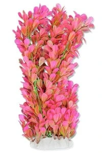 <strong title="Happet Planta Artificiala Pentru Acvariu, 40 cm, Verde/Roz, 4F28 – planta acvariu 40 cm, plante roz pentru acvariu, accesorii acvariu, plante artificiale pentru acvariu roz">Happet Planta Artificiala Pentru Acvariu, 40 cm, Verde/Roz, 4F28 – planta acvariu 40 cm, plante...</strong>