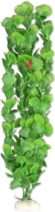 <strong title="Happet Planta Artificiala Pentru Acvariu, Blister, 40 cm, Verde, 4B56 – planta acvariu verde, plante acvariu 40 cm, accesorii acvariu, plante artificiale acvariu 4B56">Happet Planta Artificiala Pentru Acvariu, Blister, 40 cm, Verde, 4B56 – planta acvariu verde,...</strong>