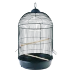 <strong title="Happet Colivie Avi, 42 x 77 cm, Negru, K64 – colivie cu design modern, colivie cu mancare si apa, colivie pasari, colivie rezistenta">Happet Colivie Avi, 42 x 77 cm, Negru, K64 – colivie cu design modern, colivie cu mancare si apa,...</strong>