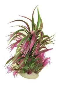 <strong title="Happet Planta Arficiala Pentru Acvariu, 23 cm, Mov/Verde, 0F02 – planta acvariu mov, planta acvariu verde, accesorii acvariu, plante pentru acvariu 23 cm">Happet Planta Arficiala Pentru Acvariu, 23 cm, Mov/Verde, 0F02 – planta acvariu mov, planta...</strong>