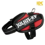 <strong title="Julius K-9 Ham Julius-K9 Idc, 2 XS: 33-45cm/18mm, Rosu, 14813 – hamuri de siguranță pentru câini, Ham Julius-K9, accesorii pentru câini, Ham roșu pentru câini">Julius K-9 Ham Julius-K9 Idc, 2 XS: 33-45cm/18mm, Rosu, 14813 – hamuri de siguranță pentru câini,...</strong>