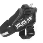 <strong title="Julius K-9 Ham Julius-K9 Idc, L: 63-85 cm/50 mm, Negru, 14851 – Ham Julius-K9 Negru, Ham de câine L 63-85 cm, accesorii pentru câini, Ham Julius-K9 pentru posesori de animale">Julius K-9 Ham Julius-K9 Idc, L: 63-85 cm/50 mm, Negru, 14851 – Ham Julius-K9 Negru, Ham de câine...</strong>