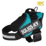 <strong title="Julius K-9 Ham Julius-K9 Idc, L: 63-85 cm/50 mm, Petrol, 14856 – ham de câine rezistent, ham de câine cu curea de 50 mm, accesorii pentru câini, hamuri pentru câini de apă">Julius K-9 Ham Julius-K9 Idc, L: 63-85 cm/50 mm, Petrol, 14856 – ham de câine rezistent, ham de...</strong>