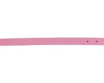 <strong title="Exotic-K Zgarda L1 1.6/40 cm – Simplu – Roz – zgarda simpla pentru caini, zgarda L1 1.6/40 cm, zgarda confortabilă pentru câini, accesorii pentru caini roz">Exotic-K Zgarda L1 1.6/40 cm – Simplu – Roz – zgarda simpla pentru caini, zgarda L1...</strong>