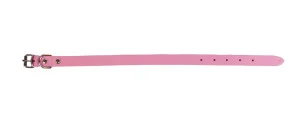 <strong title="Exotic-K Zgarda L1 1.6/40 cm – Simplu – Roz – zgarda simpla pentru caini, zgarda L1 1.6/40 cm, zgarda confortabilă pentru câini, accesorii pentru caini roz">Exotic-K Zgarda L1 1.6/40 cm – Simplu – Roz – zgarda simpla pentru caini, zgarda L1...</strong>