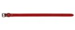 <strong title="Exotic-K Zgarda L1 1.6/40 cm – Simplu – Rosu – zgarda caini rosie, zgarda de nylon pentru câini, zgarda ajustabilă pentru câini, zgarda pentru plimbări cu câinii">Exotic-K Zgarda L1 1.6/40 cm – Simplu – Rosu – zgarda caini rosie, zgarda de nylon...</strong>